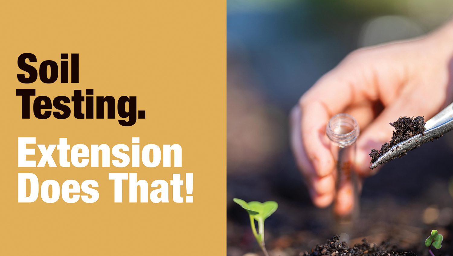 Soil Testing. Extension Does That!