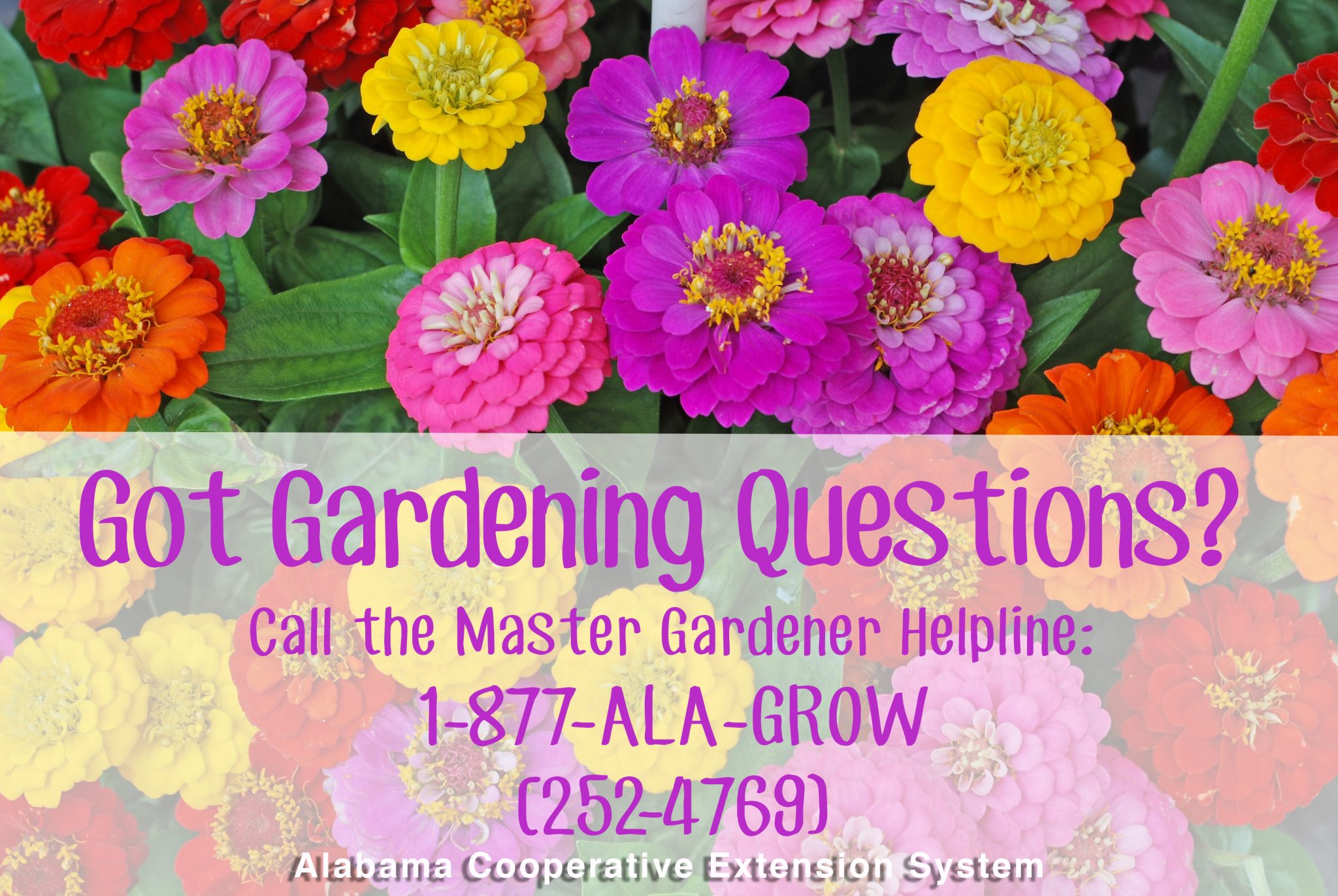 Got Gardening Questions? Call the Master Gardener Helpline 1-877-ALA-GROW (252-4769)