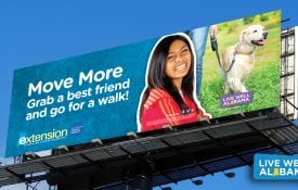Billboards, Live Well Alabama billboard, Move More. Grab a best friend and go for a walk.