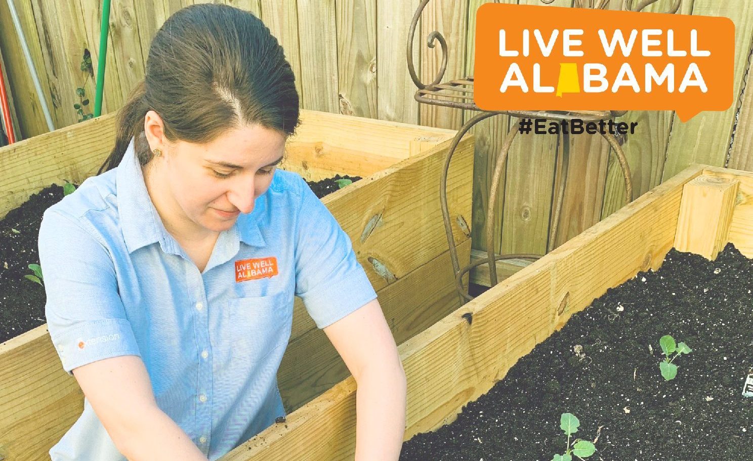 Live Well Alabama professional planting in a raised bed.