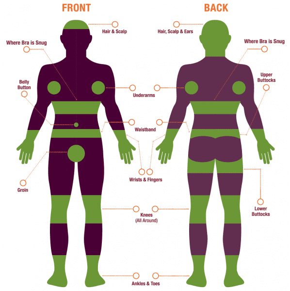 Tick Danger Zones Graphic of Human Body