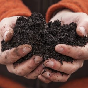 Two cupped hands holding rich, black soil made from compost