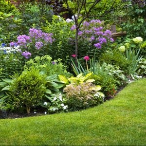 Lush landscaped garden with flowerbed and colorful plants and manicured lawn