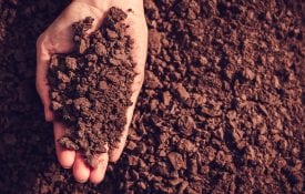 Handful of soil. Photo by shutterstock.com/funnyangel.