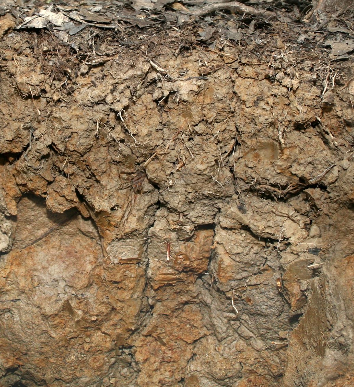 Limestone Valley soils.