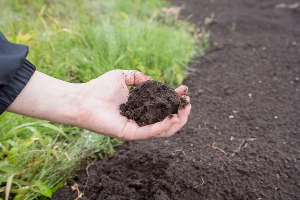 Woman grabbing soil.