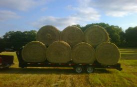 A loaded trailer with round bales of hay.