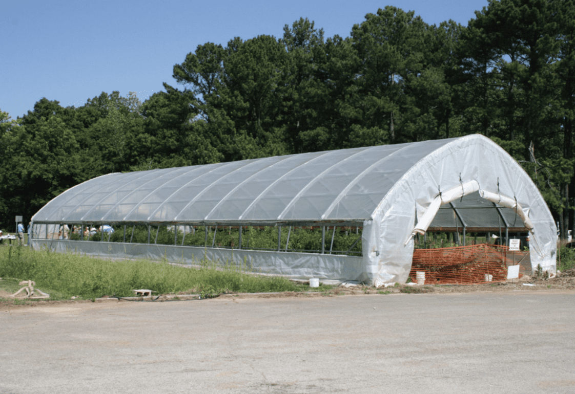 Figure 1. High tunnel structures can help producers extend growing seasons. (Photo credit: Ayanava Majumdar)