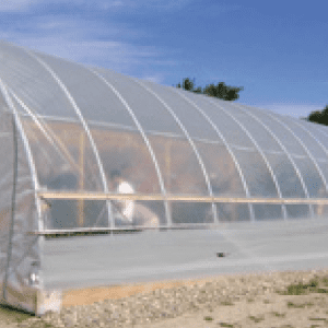 Figure 2. A typical high tunnel structure. (Photo credit: Ayanava Majumdar)