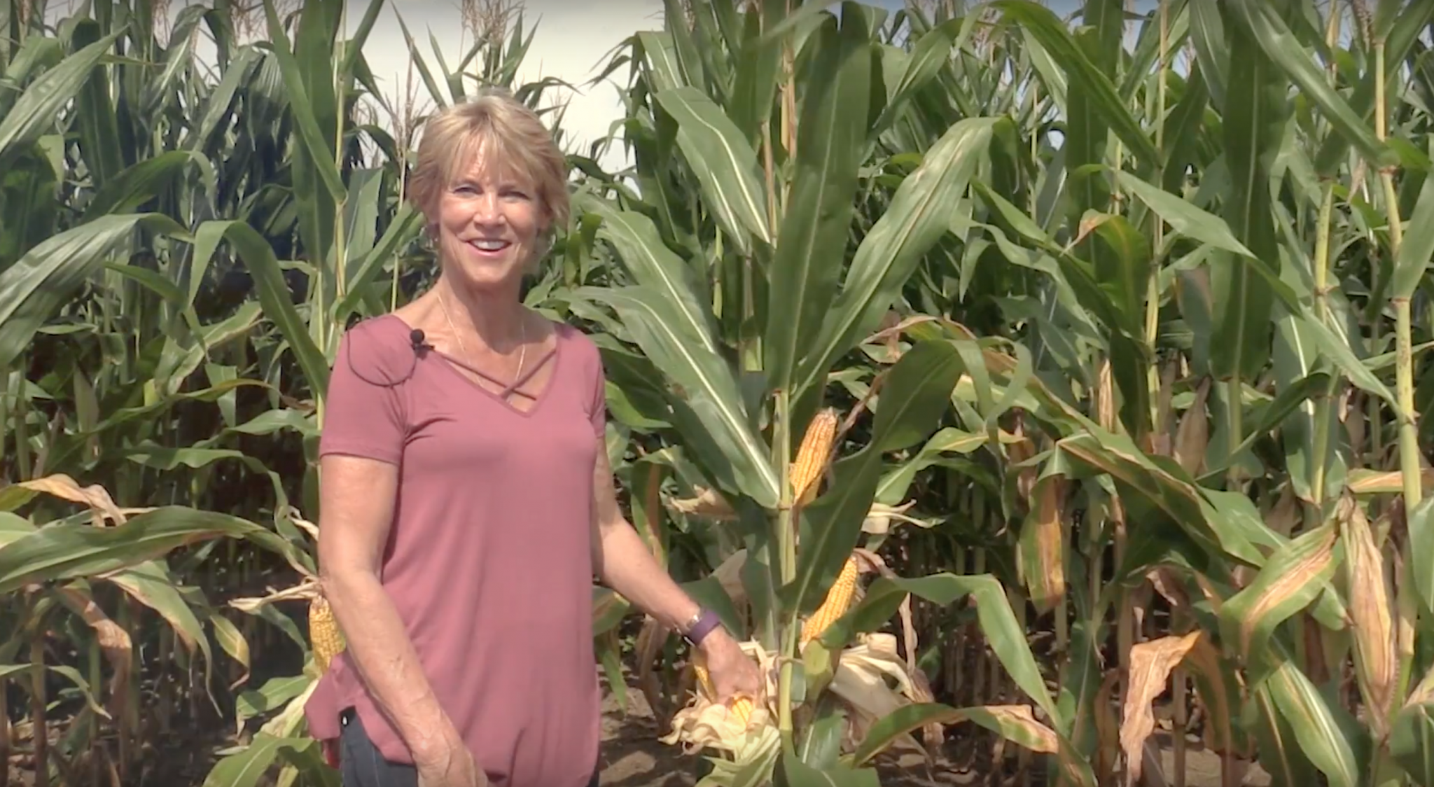 Annie Dee in a corn field. Soil Health Stewards