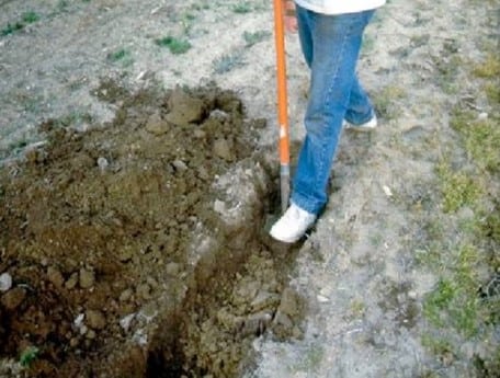 Person digging with a shovel.