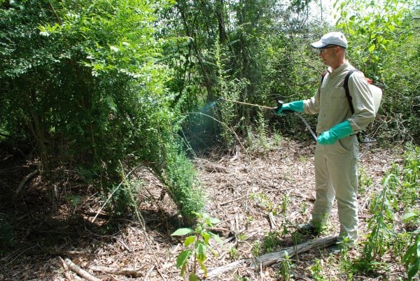 Figure 5. A blue spray indicator or dye improves spray visibility for the applicator.