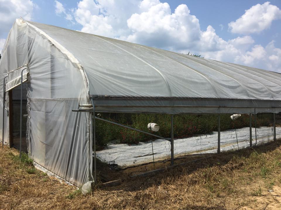 High Tunnel Pest Exclusion System Alabama Cooperative Extension System