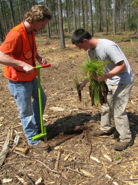 While landowners may enjoy planting small forest patches themselves, hand planting can be a big job that most will not want to do on their own.