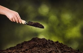 shutterstock.com/Wstockstudio. Shovel full of dirt.