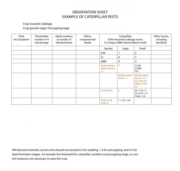 Observation Sheet Example of Caterpillar Pests
