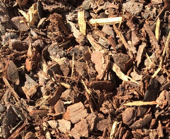 Planting & Establishing Woody Landscape Plants Alabama Cooperative