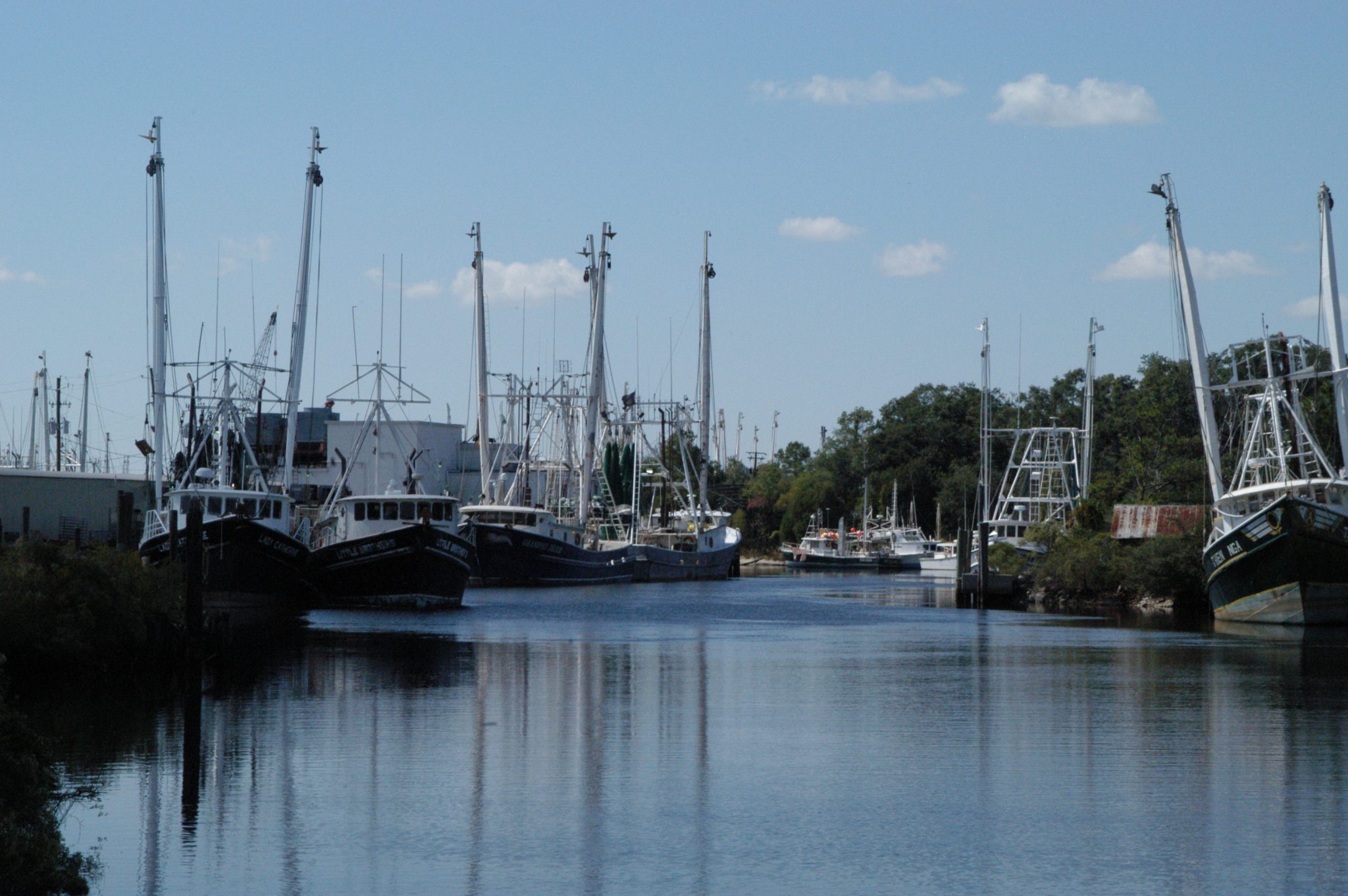Alabama waterway with boats