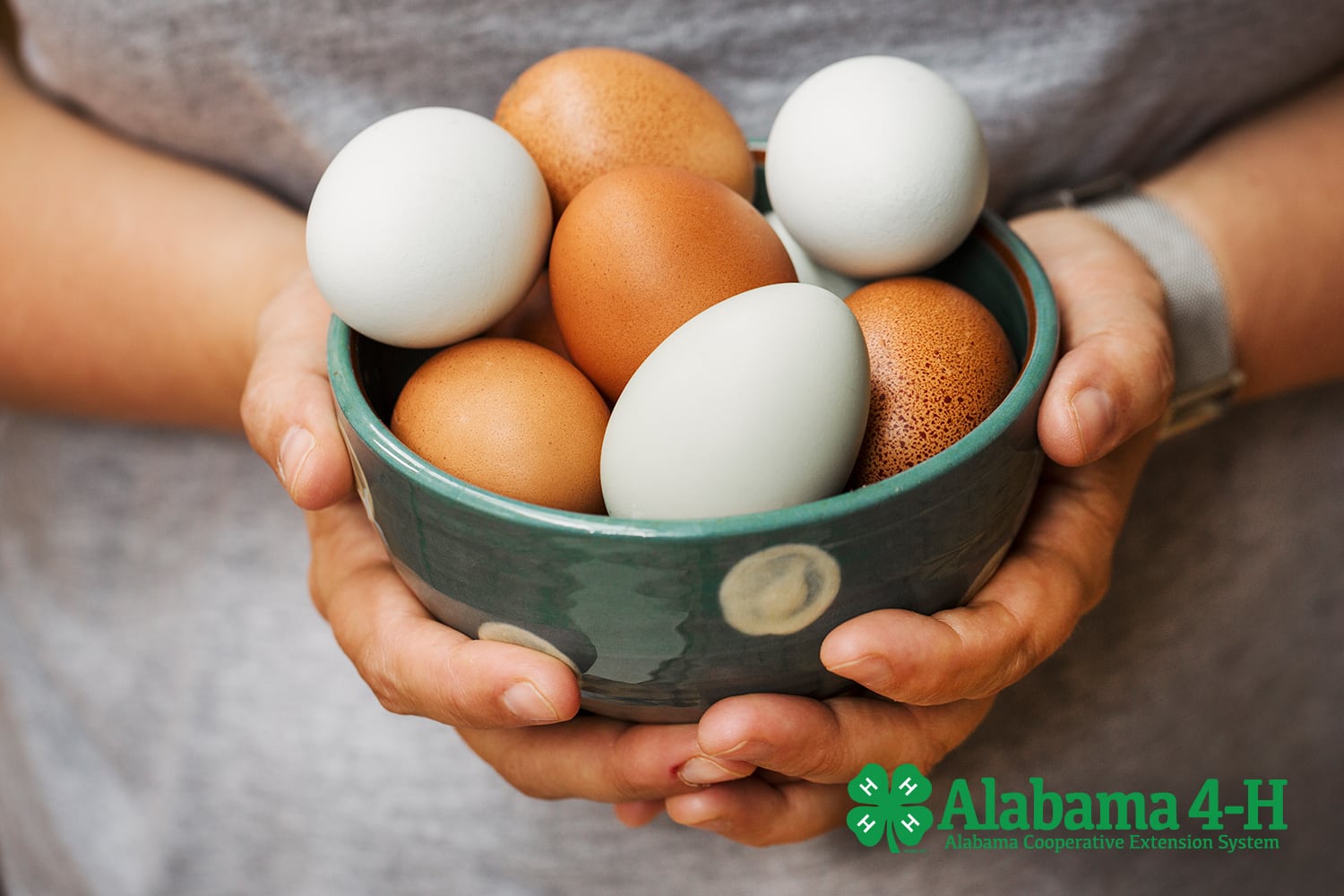 bowl of Alabama 4-H Golden Egg Contest eggs; Alabama 4-H; animals; programs