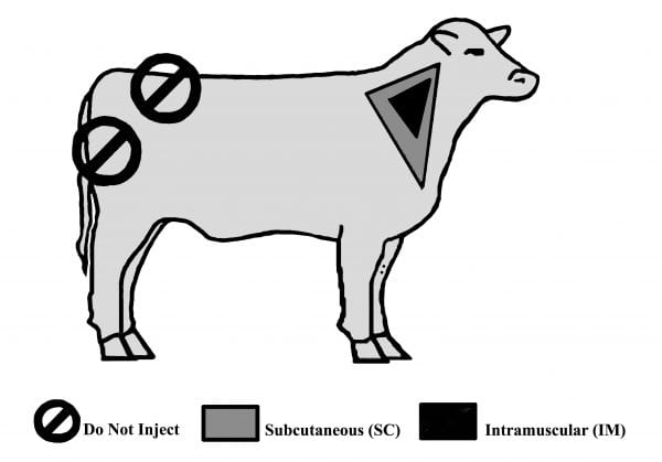 Cattle Vaccination Chart