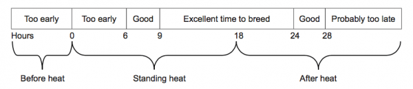 Figure 2. Timing of artificial insemination for maximum conception