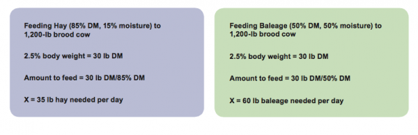 Feeding hay and feeding baleage examples.