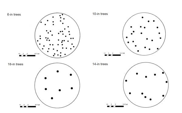 Figure 2. Representation of a 1/5-acre plot and the number of trees at 6, 10, 14, and 18 inches DBH that are needed to make 60 square feet of basal area per acre. (Graphic courtesy John Gilbert, Longleaf Pine Stand Dynamics Lab, School of Forestry and Wildlife Sciences, Auburn University)