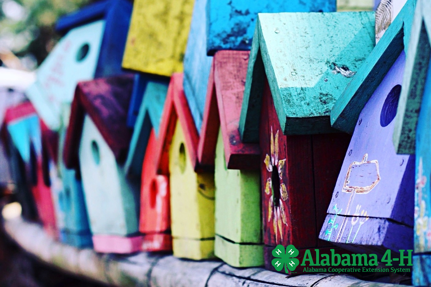 Alabama 4-H eXtreme Birdhouses