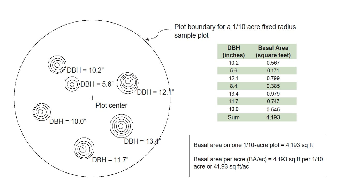 Basal Area Conversion Chart