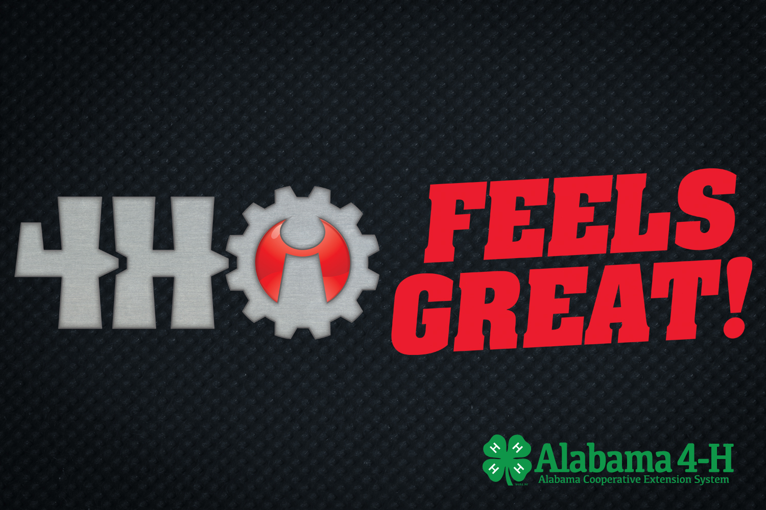 Alabama 4-H Innovators Feels Great course