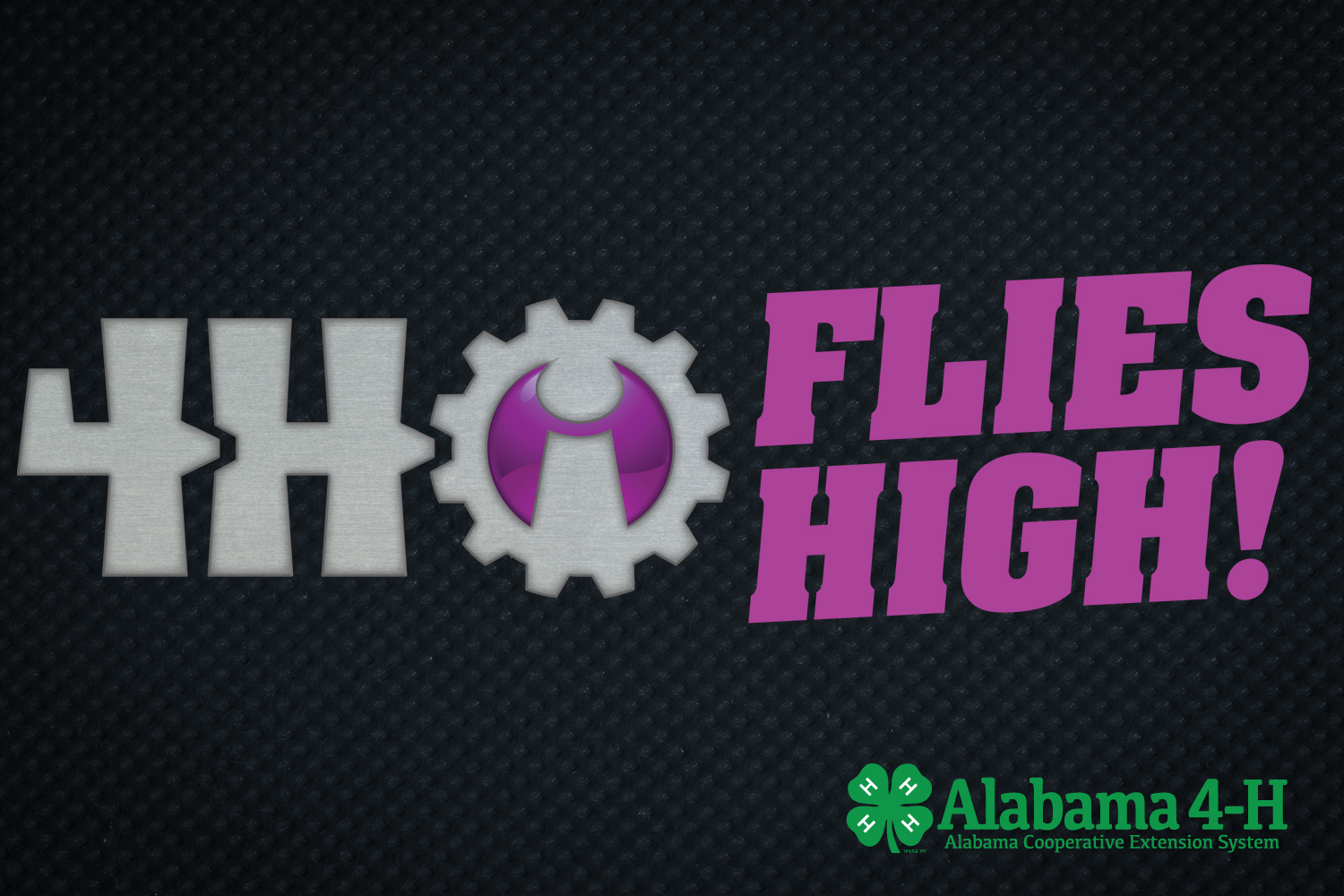 Alabama 4-Hi Flies High