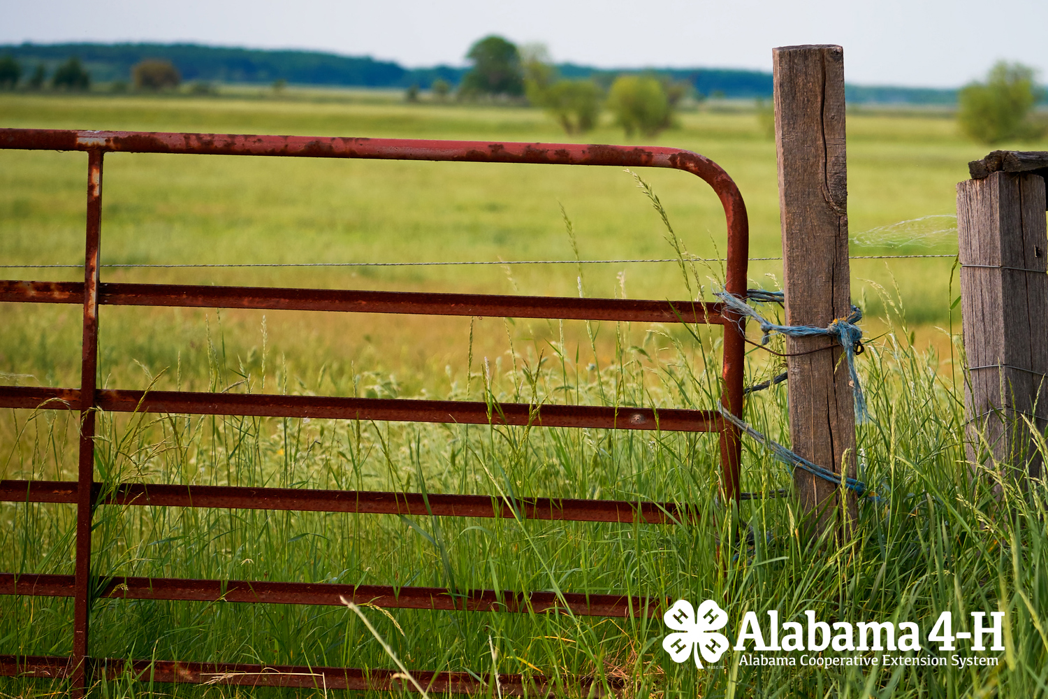 Alabama 4-H Farm Safety Day