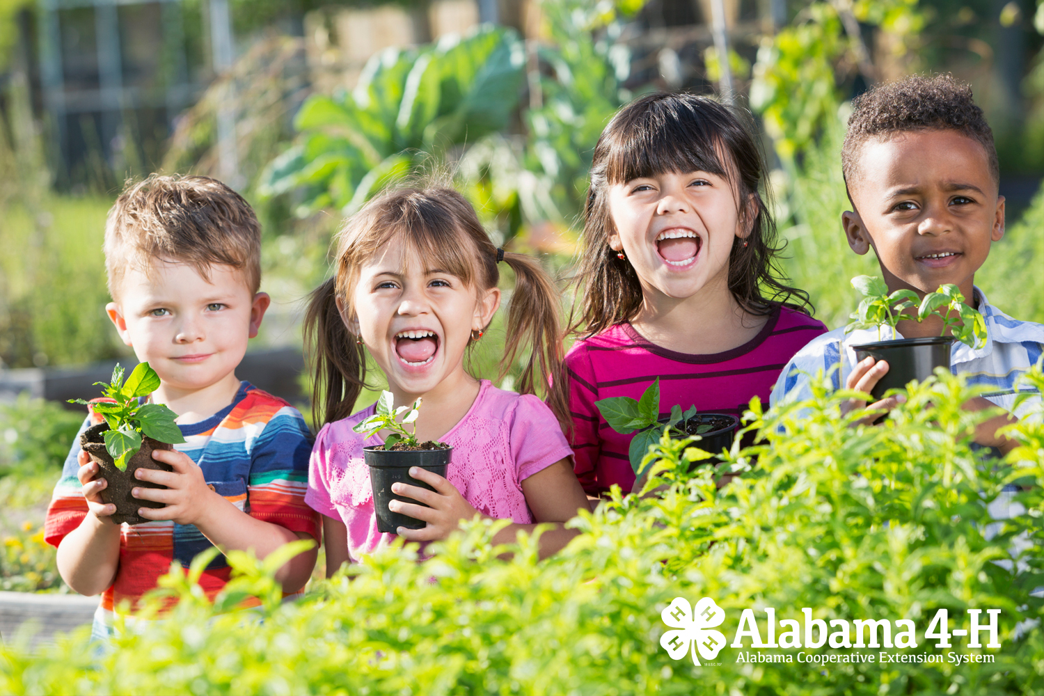 Alabama 4-H Cloverbuds; members in garden