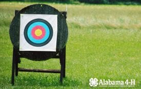 Alabama 4-H S.A.F.E. target