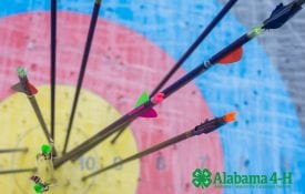 Alabama 4-H Archery target