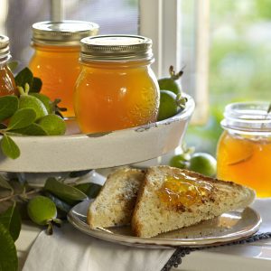 Guava Jelly with Toast
