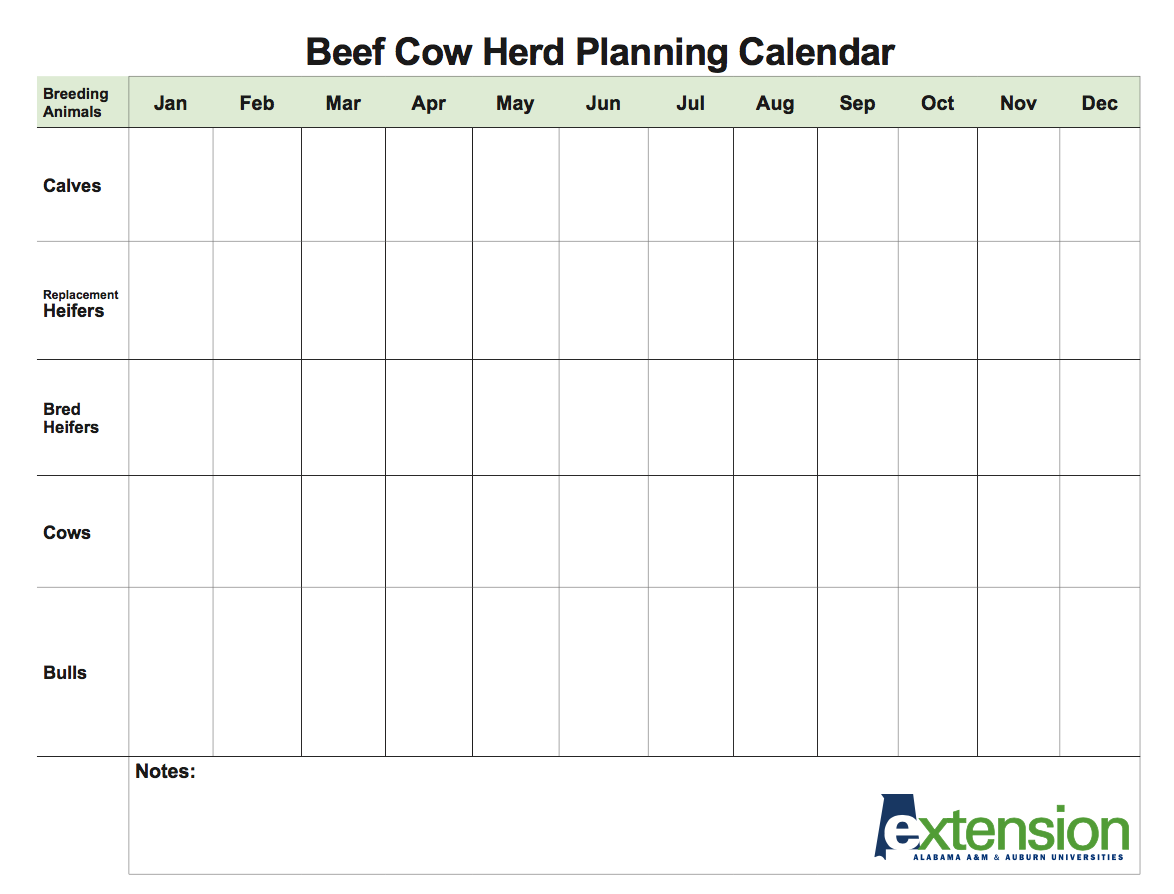 Beef Cow Herd Planning Calendar
