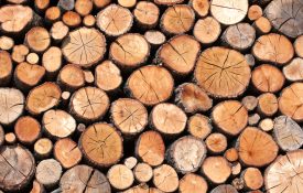 A end view of a stack of logs.