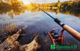Alabama 4-H Sportfishing program; image of lake
