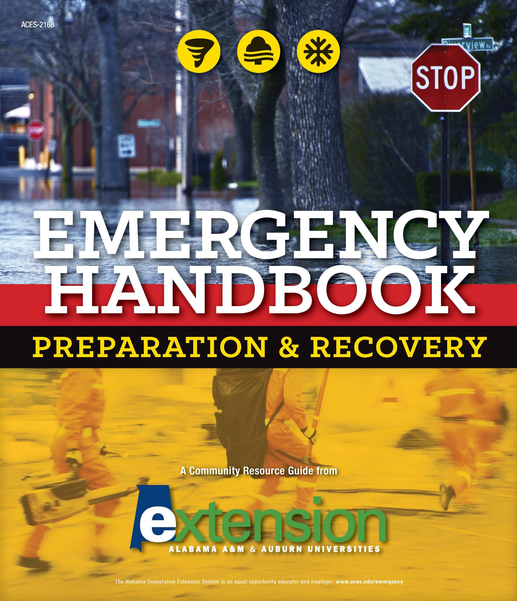 Emergency Handbook iBook