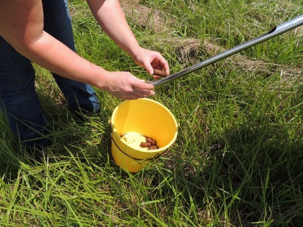 Collecting a soil sample