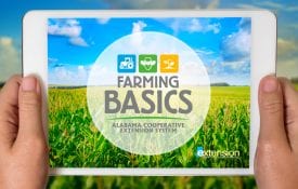 Farming Basics Online Course