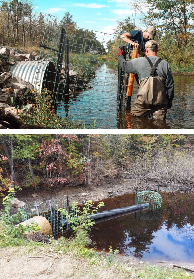 Figure 3. Excluding beaver access to culverts, drains, and spillways is a good damage-prevention practice. Installations can be simple, with metal posts and fencing used (top), or complex, with multiple fences and piping (bottom). Most any exclusion will require monitoring and maintenance to ensure they stay cleared. (Credit: USDA-APHIS Wildlife Services)
