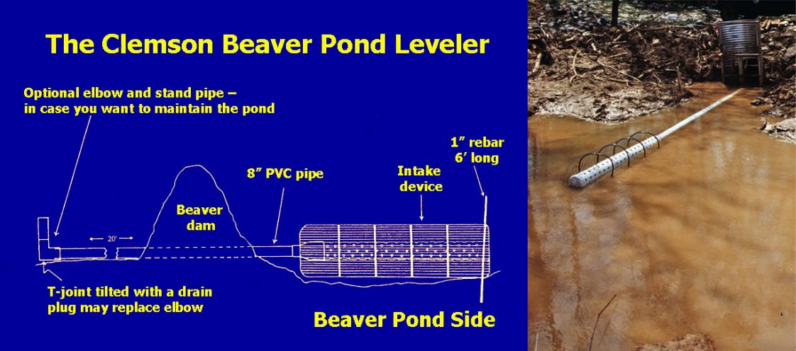 Figure 4. Water control devices, such as the Clemson Beaver Pond Leveler, enable managers to manipulate water levels in the presence of beavers.