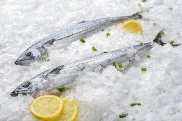 Two Spanish Mackerel with lemon slice on ice
