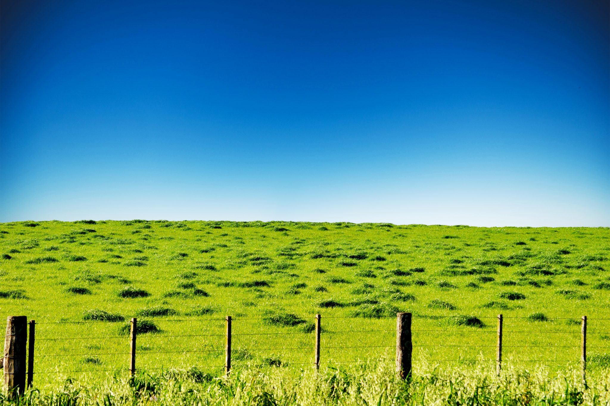 Beautiful green field grass with wire fence