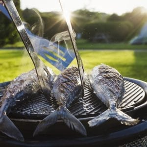 A small barbeque with three fresh mackerel fish on the grill, and a person using tongs to turn the fish.