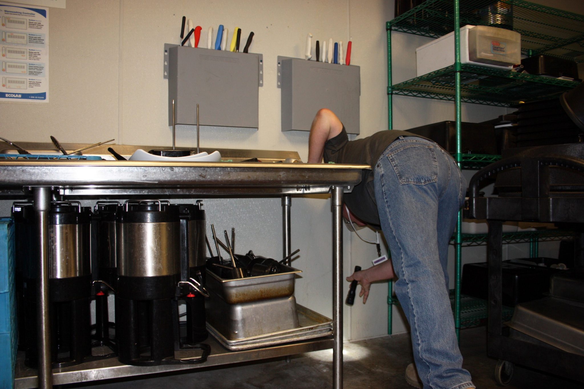 A man performing a kitchen Inspection for Pests in a public kitchen.