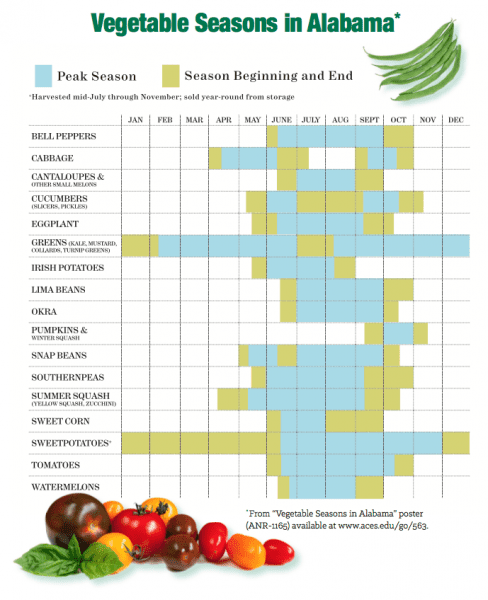 A chart of vegetable seasons in Alabama.