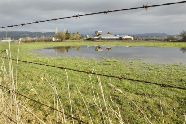 After The Storm, Flooded Farm